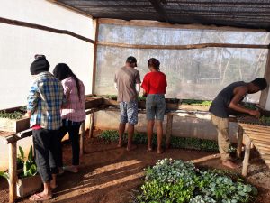 Timor-Leste – ökologischer Landbau im Irgendwo