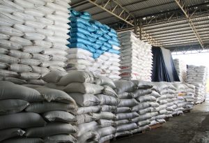 Bio-Reis aus Kambodscha: Eine Perspektive für Bäuer*innen?