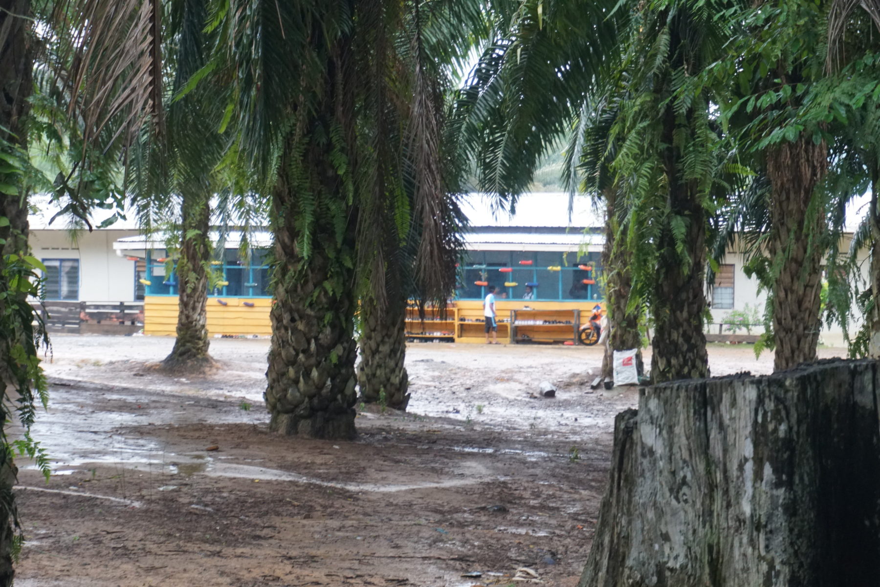 Ein Gemeindelernzentrum auf einer Palmölplantage in Sabah © Rizal Assalam