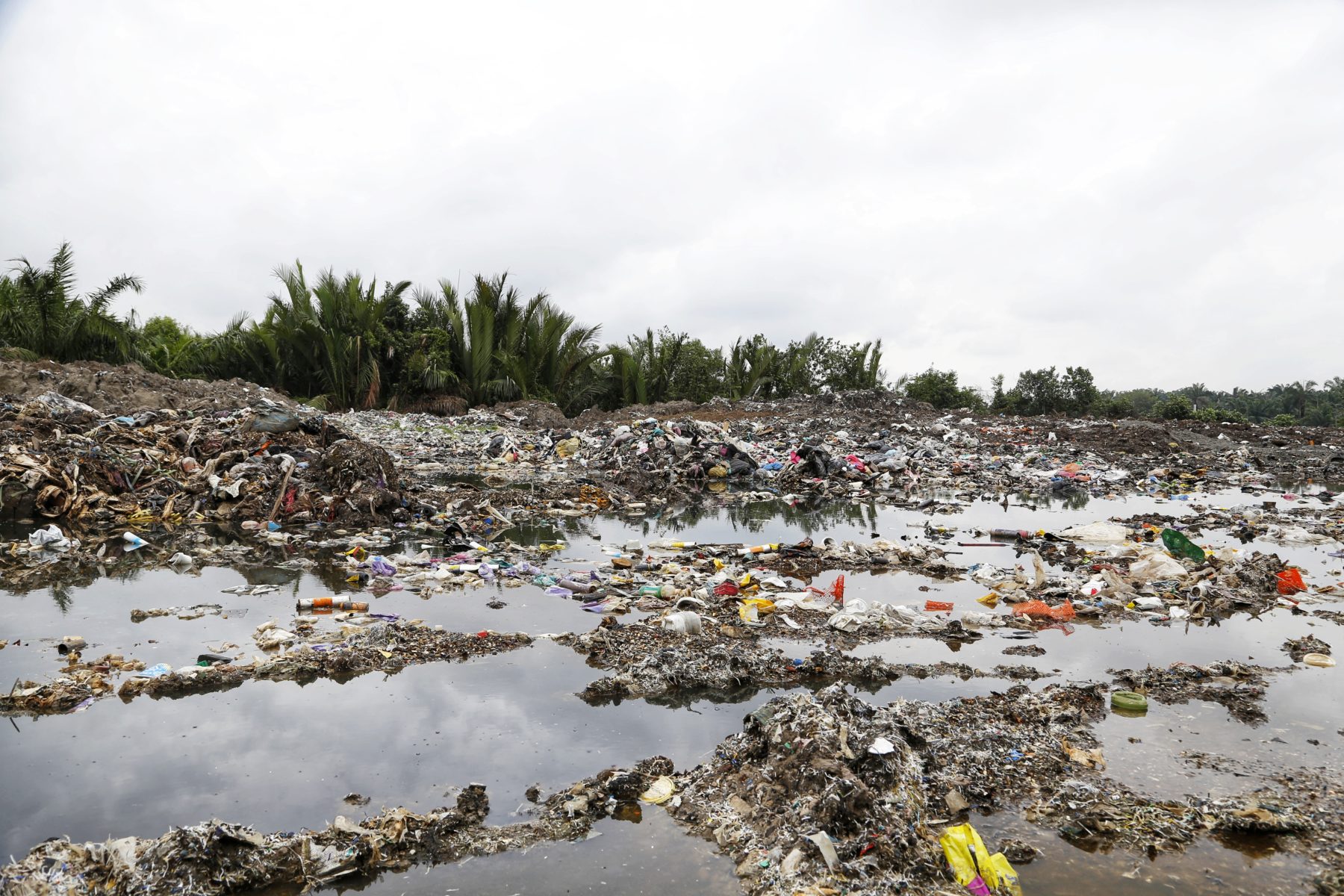 Plastikmüll vor einer Palmölplantage © Greenpeace Malaysia