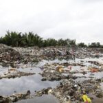 Plastikmüll vor einer Palmölplantage © Greenpeace Malaysia