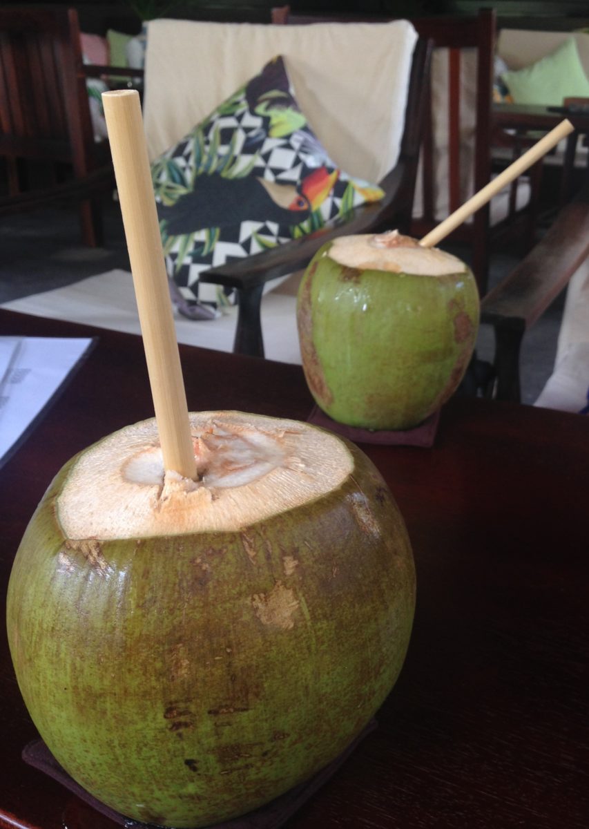 Kokosnuss mit Bambus-Strohhalm © Johanna Kramm
