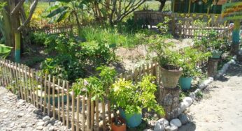 Zero Waste Communities in den Philippinen