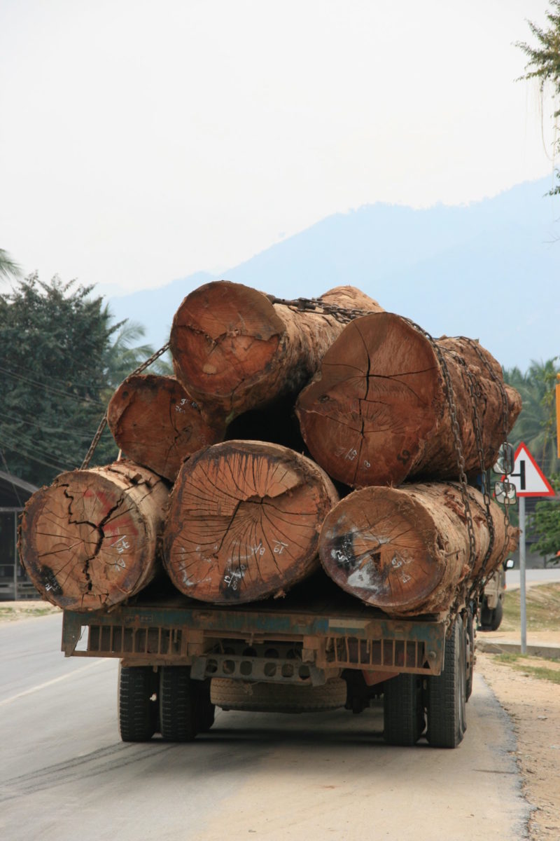 Laos Waldschutz Klimaziel