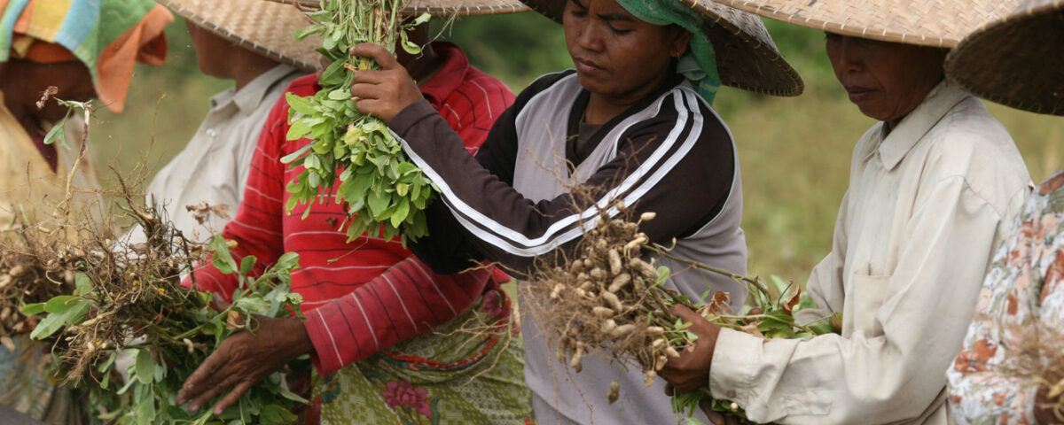 Indonesien Ernährungssicherheit