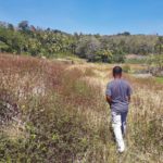 Indonesien Agroforstwirtschaft Mamar