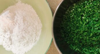 „Zwischen mir und meinen Lieben liegt das Essen“