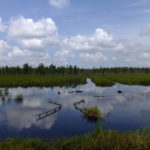 Indonesien Reis Ernährungssicherheit