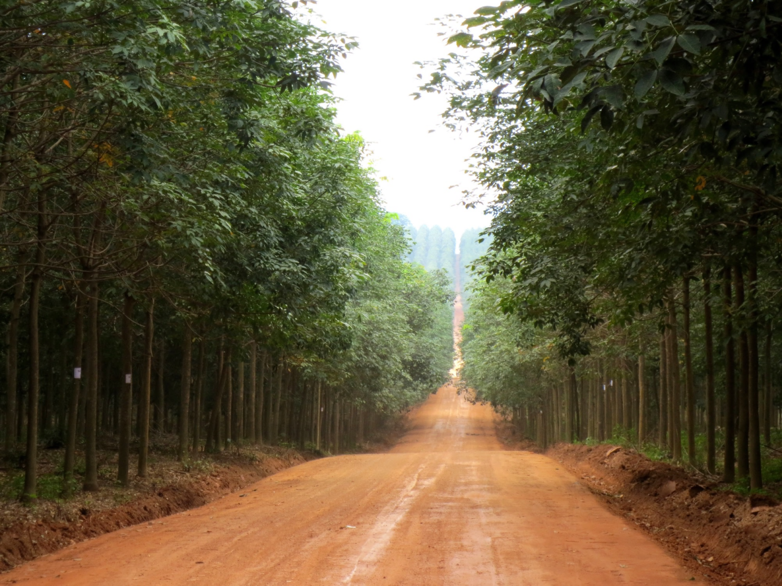 Landgrabbing Laos