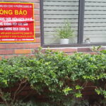Vietnam, Covid-19 China