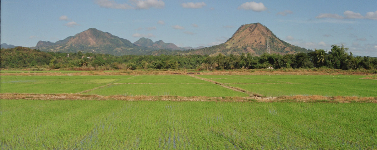 Philippinen, Landwirtschaft, ENtwicklung