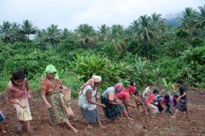 Philippinen, Landwirtschaft, Kleinbauern