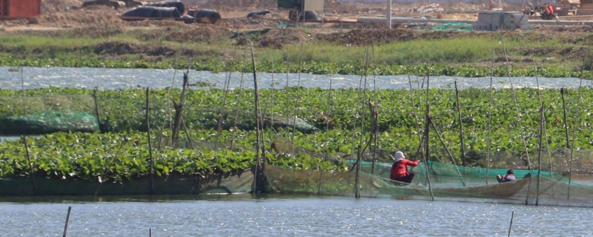 Kambodscha, Wirtschaft, Umwelt