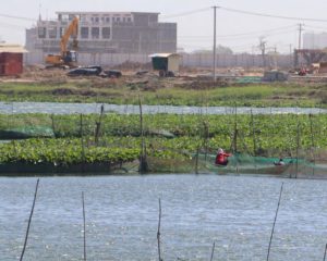 Kambodscha, Wirtschaft, Umwelt