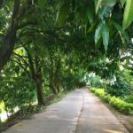 Vietnam, Mekong, Delta