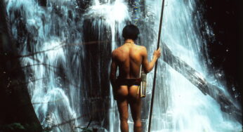 Die Krise in Malaysias Regenwäldern