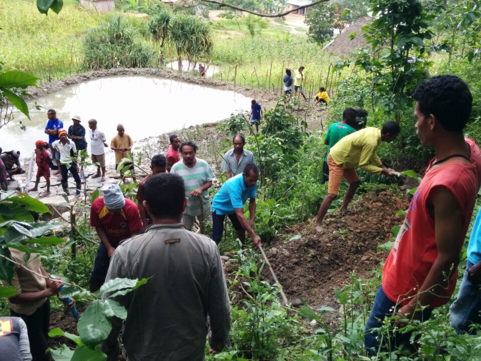 Timor Leste, Wassernutzung, Umweltschutz