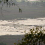 Vietnam, Mekong-Delta, Versalzung