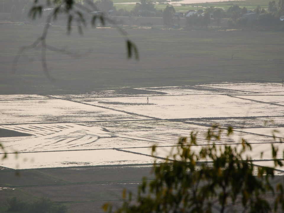 Vietnam, Mekong-Delta, Versalzung