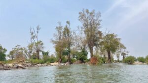 Kambodscha, Mekong Staudamm