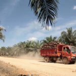 Indonesien, Kolonialismus, Palmöl