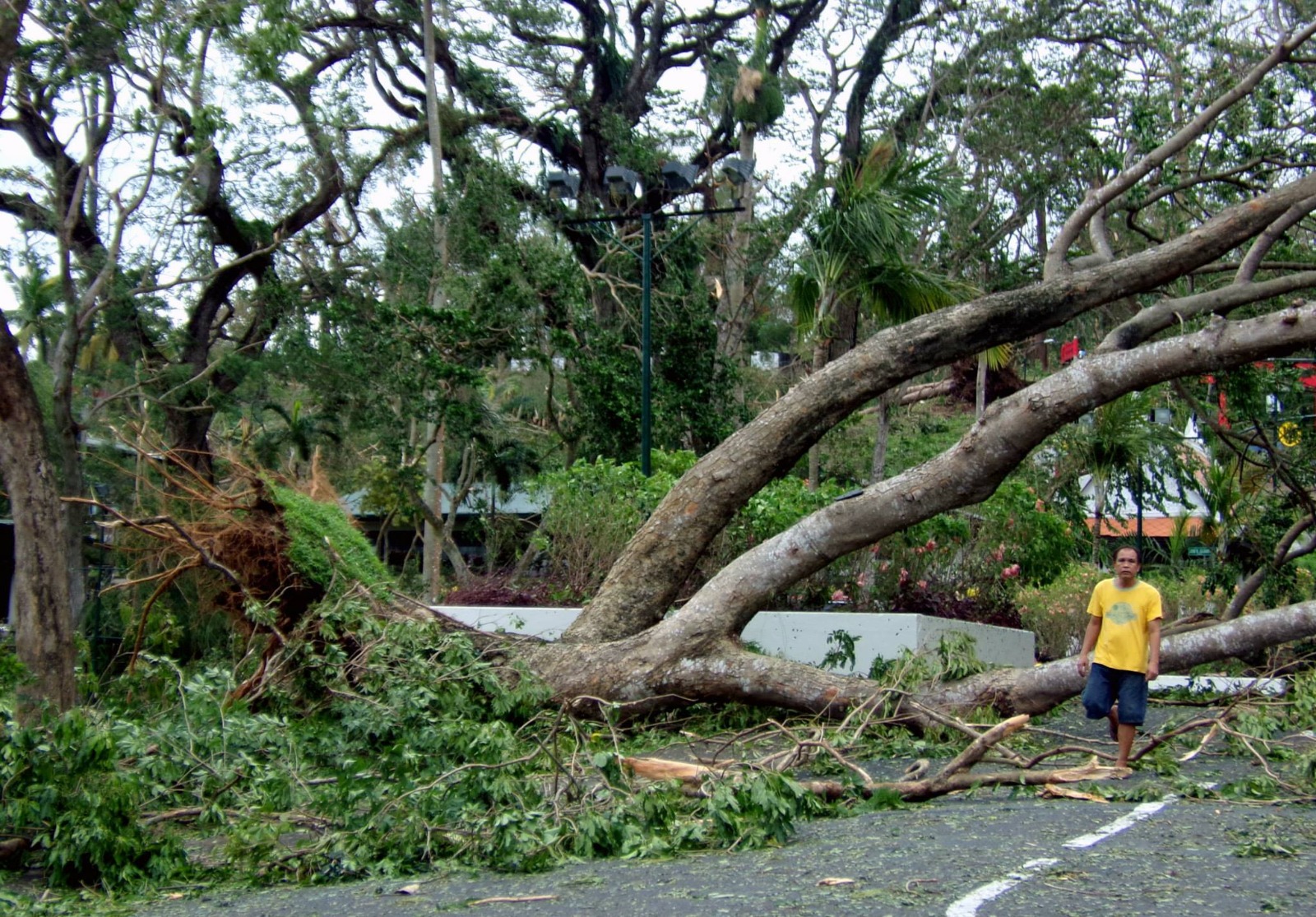 Philippinen, Klimawandel Haiyan