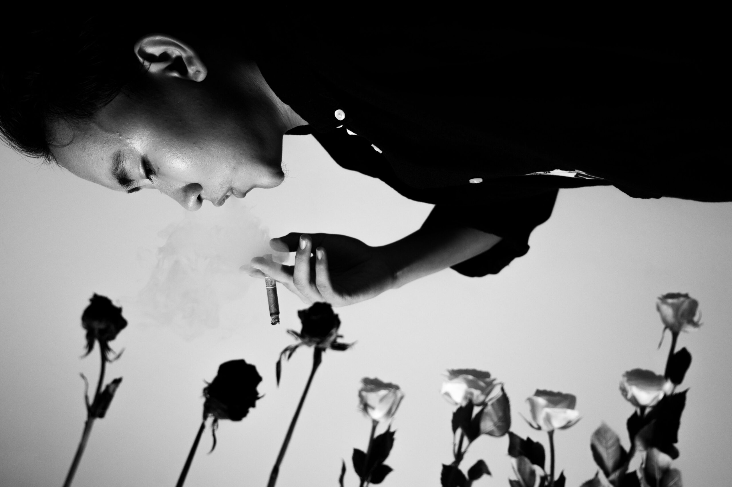 Myanmar, Revolution, Trans