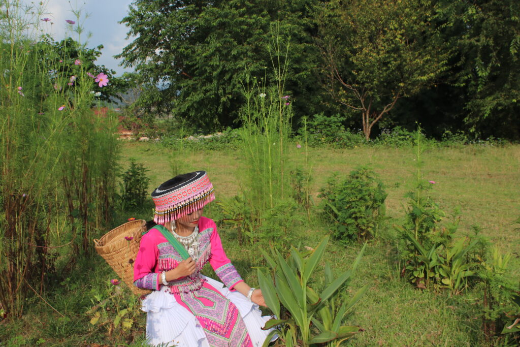 Laos, Hmong, traditionelle Medizin
