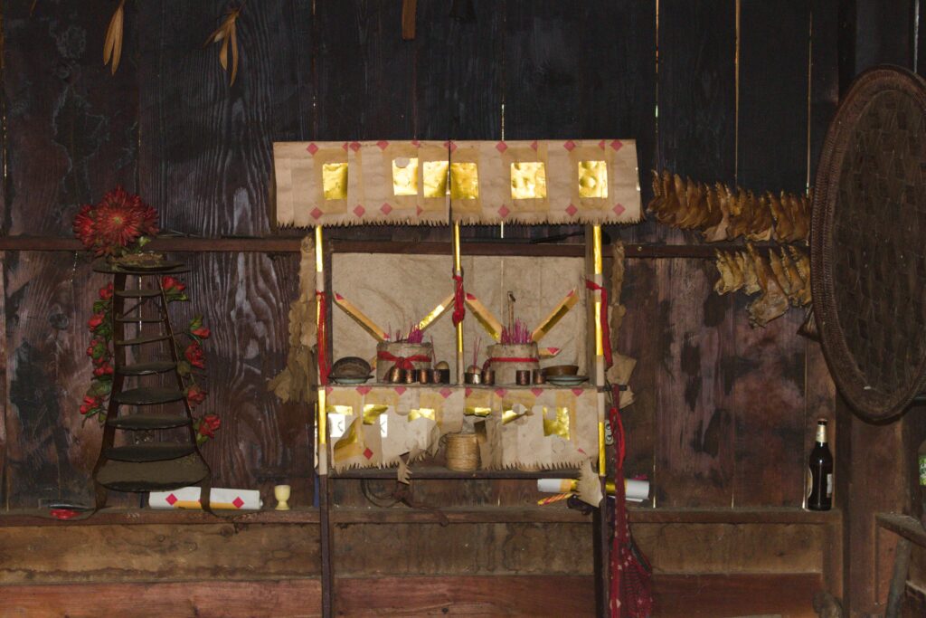 Laos, Hmong, traditionelle Medizin