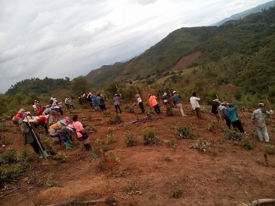 Laos, Hmong, traditionelle Medizin