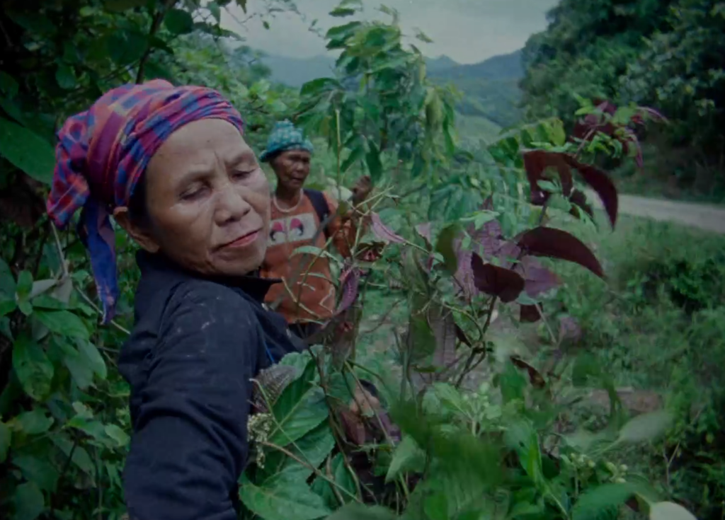 Vietnam, Rezension, Film