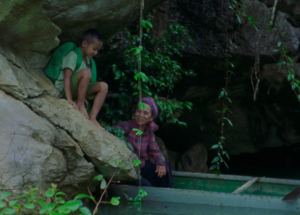 Vietnam, Rezension, Film