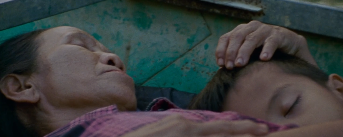 Vietnam, Rezension, Film