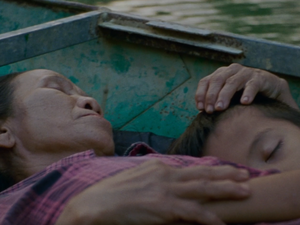 Vietnam, Rezension, Film