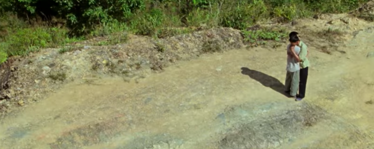 Vietnam, Rezension, Männlichkeit