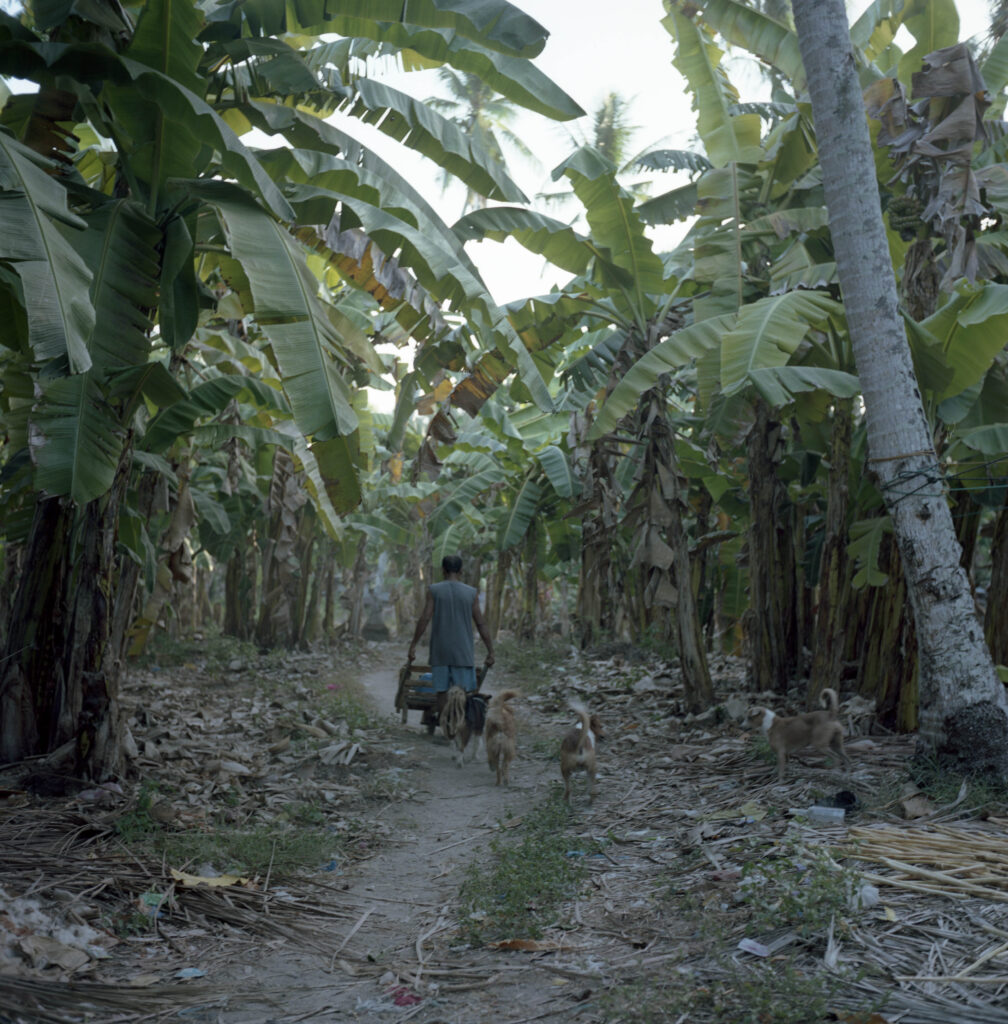 Philippinen, Fischer, Fotostory