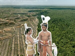 Brunei, Indigene, Queerness