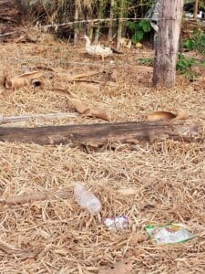 Kambodscha, Plastikmüll, Fotostory