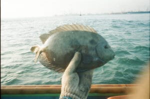 Singapur, Indigene, Fischerei