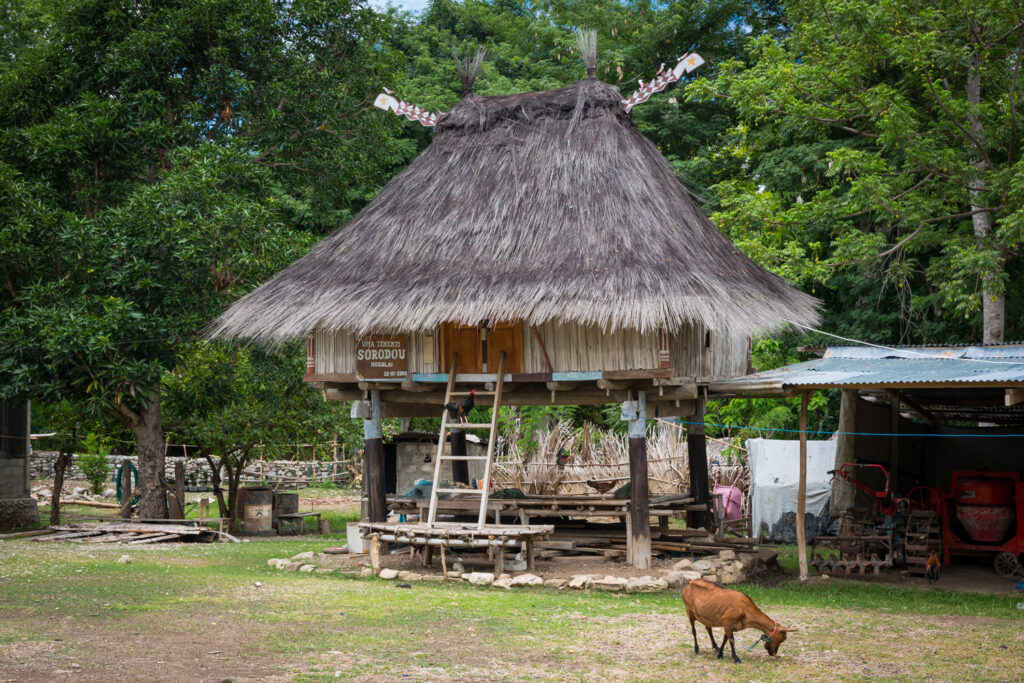 Timor-Leste, Indigene, Lulik