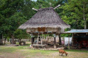 Timor-Leste, Indigene, Lulik