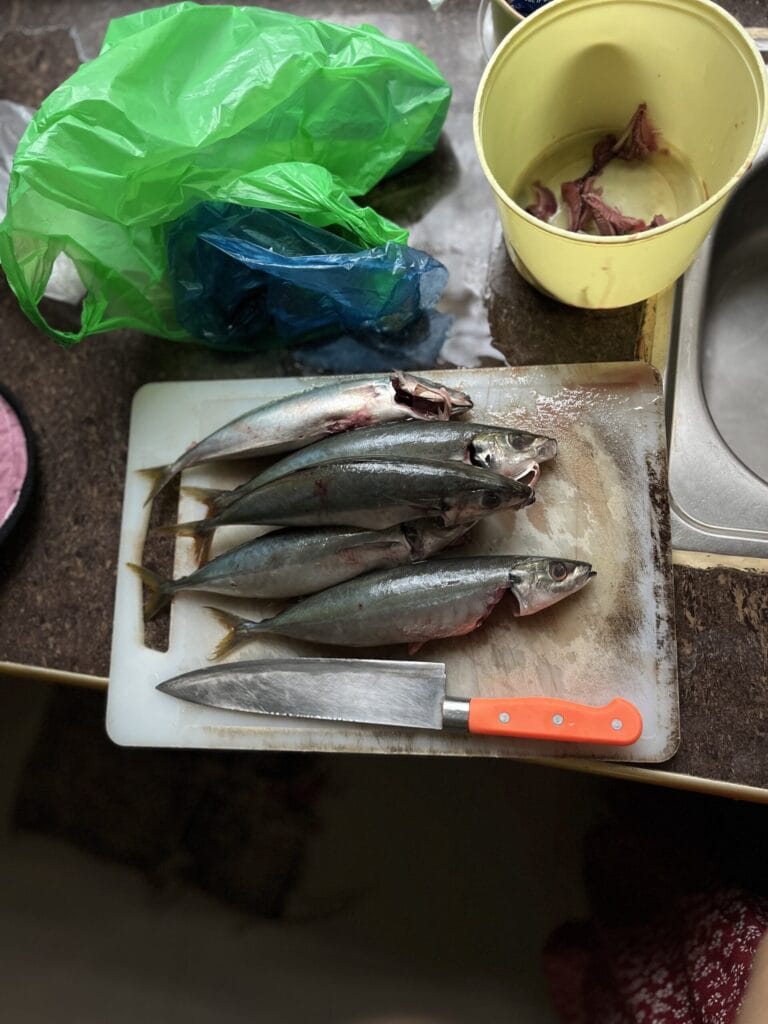 Philippinen, Plastikmüll, Fotostory
