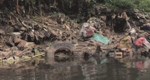 Plastik, Film, Rezension