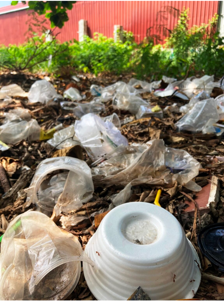 Weltweit, Plastik, Anthropozän