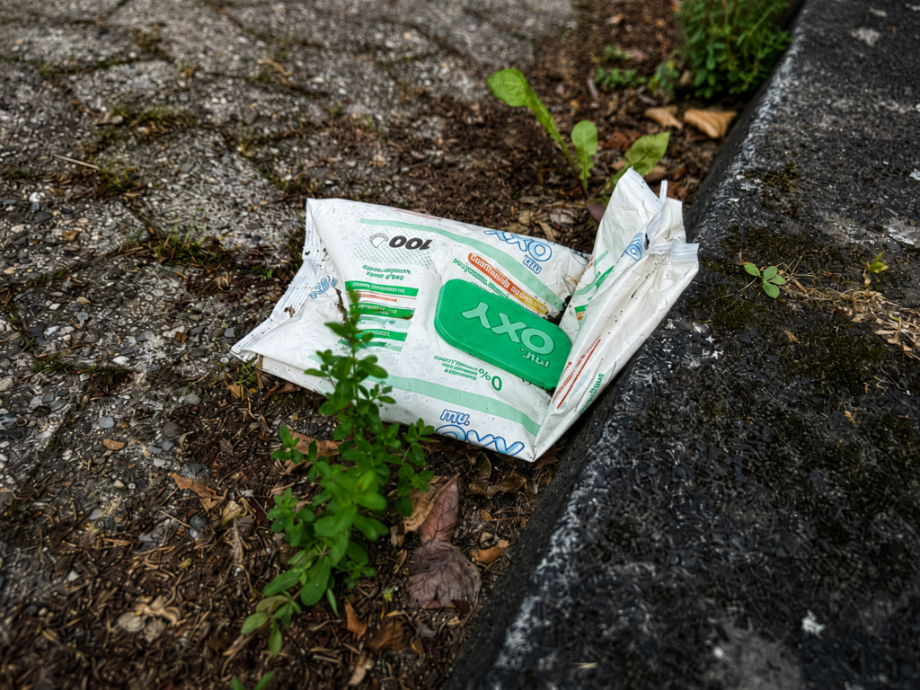 Plastikmüll, Export, Südostasien