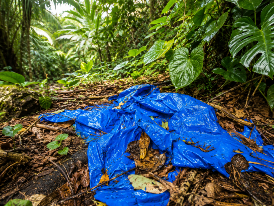 Plastikmüll, Export, Südostasien